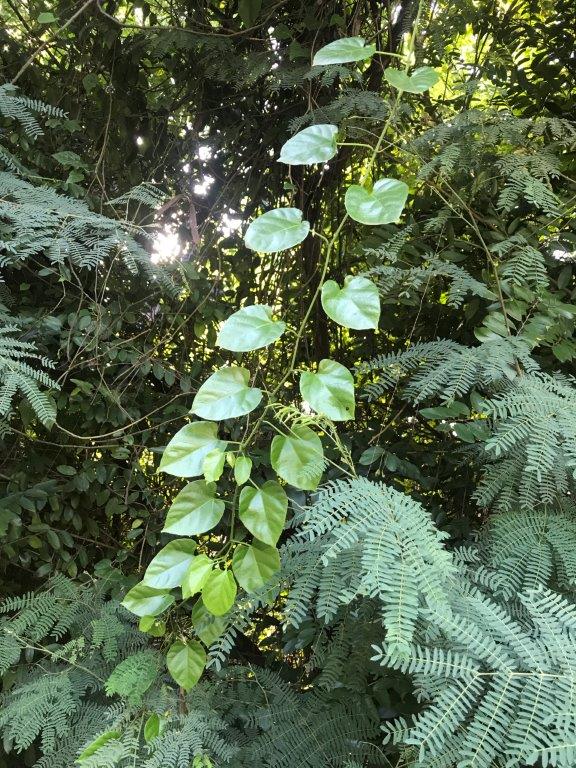 IMG_20190323_151131