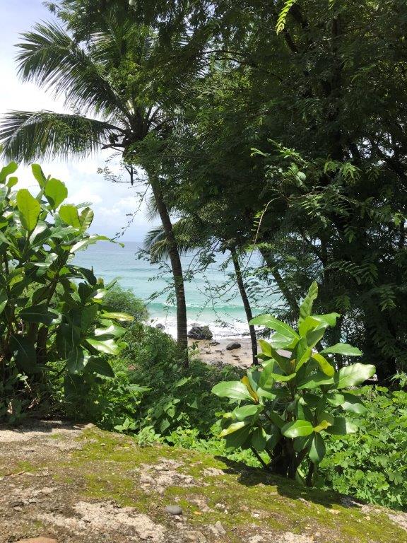 IMG_20190324_114321